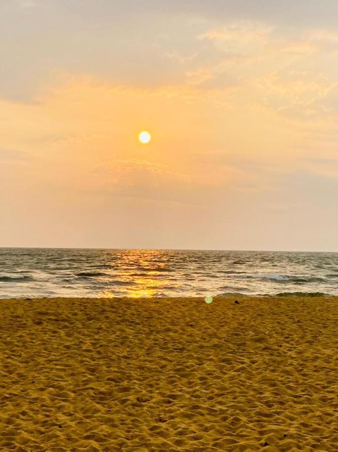 The We2 "Wildwood Elegance Escape" Bed and Breakfast Induruwa Buitenkant foto