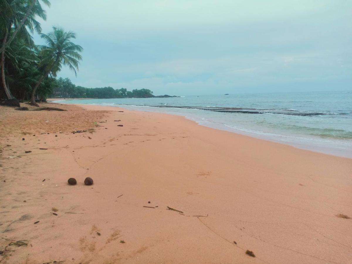 The We2 "Wildwood Elegance Escape" Bed and Breakfast Induruwa Buitenkant foto