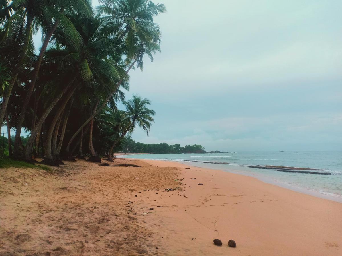 The We2 "Wildwood Elegance Escape" Bed and Breakfast Induruwa Buitenkant foto